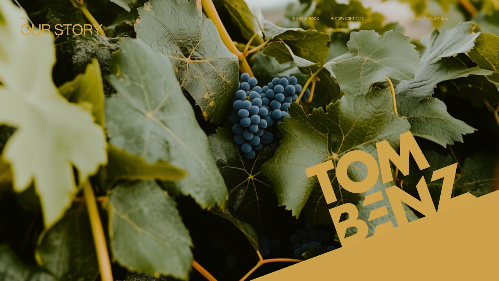 Tom Benz Wines — 05