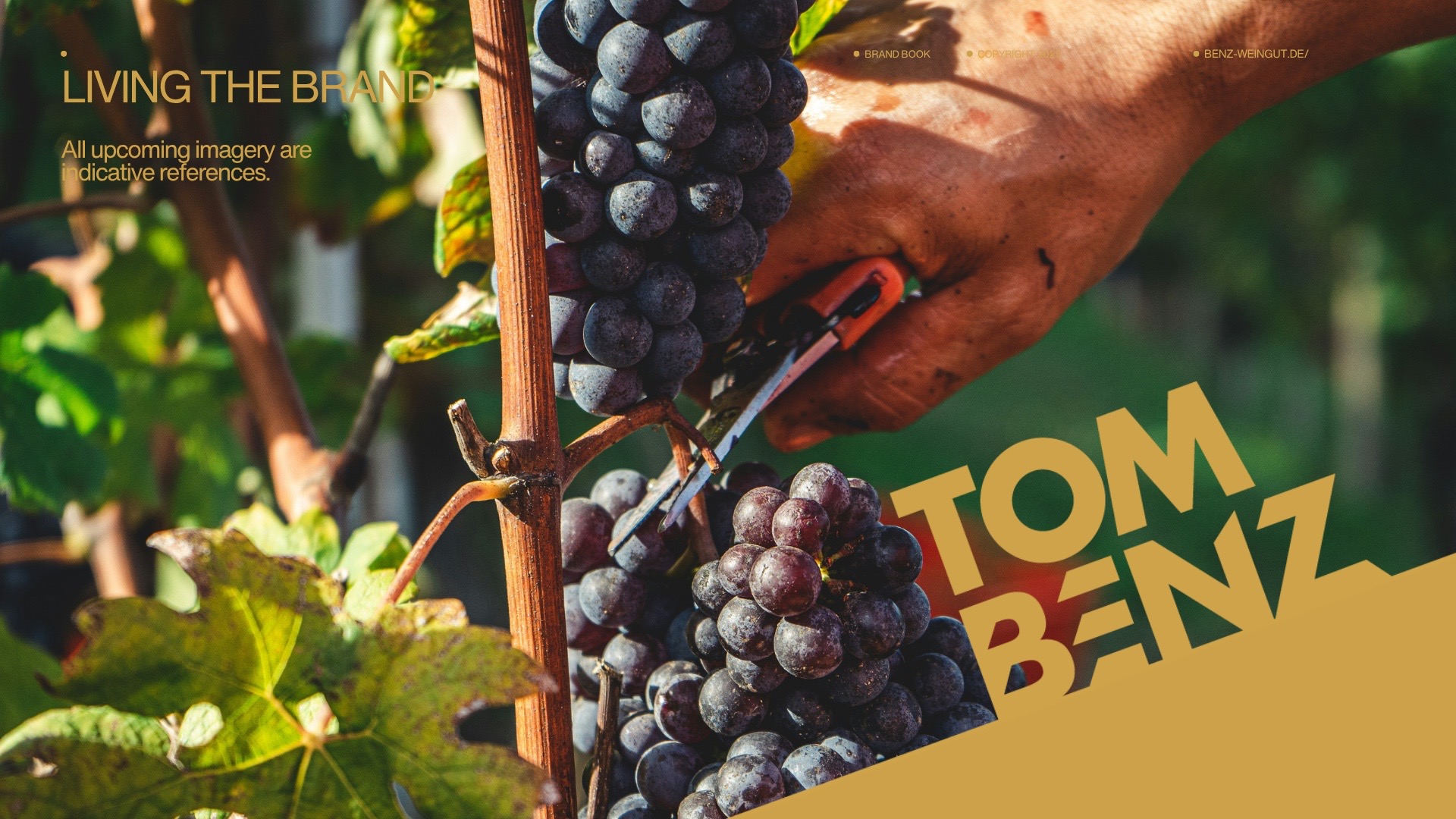 Tom Benz Wines — 44